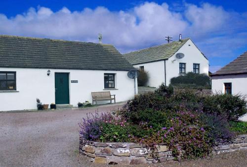 Eviedale Cottages ltd