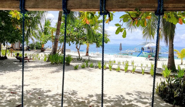 Evolution Dive and Beach Resort