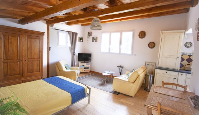 Exceptional setting: pine forest, dominant view, absolute calm, between Ventoux and Lubéron