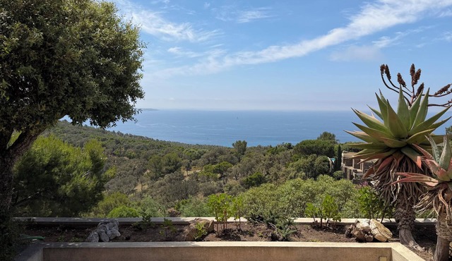 Exceptional Studio – Panoramic Ocean View – Terrace – Gaou Bénat Private Estate