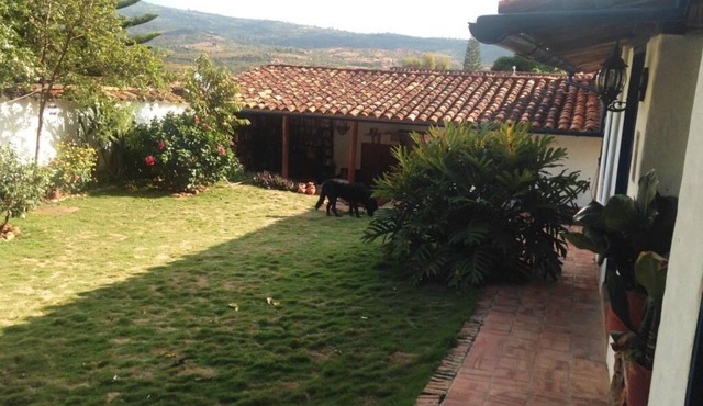 Exceptional House: Stylish, spacious, Central, Steps from Plaza and Restaurants