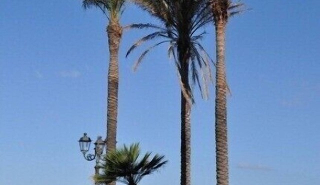Exceptional Ocean Front Penthouse - In Town And Close To Beach