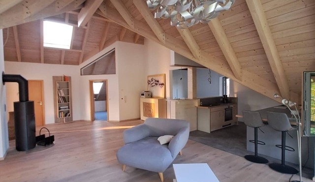 Exceptional vacation apartment in the Odenwald, near Darmstadt