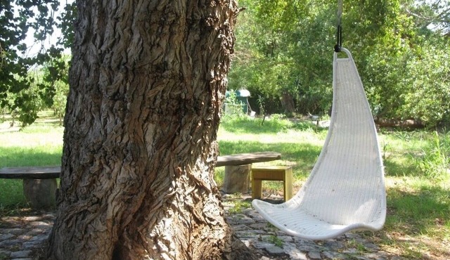Exclusive alternative to camping in the shade of ancient poplars