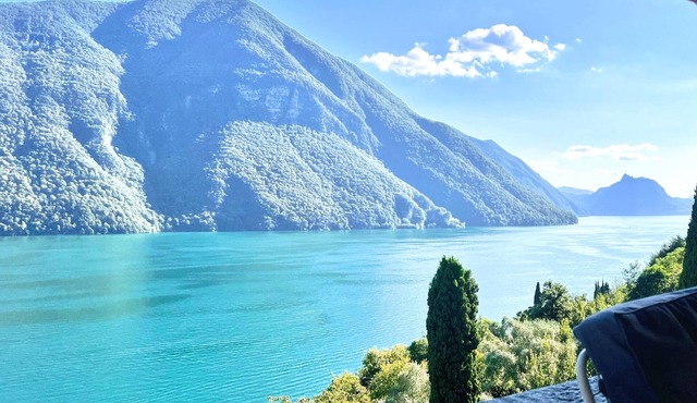 Exclusive penthouse with stunning lake view, large terrace, garden & pool.
