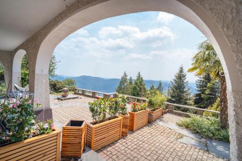Exclusive Panoramic Sky Alps