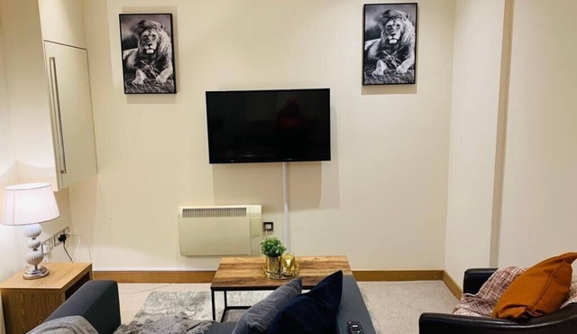 Executive Apartment a very short walk to the Sunderland metro and train station.
