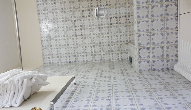 Executive Apartment: Business/Airport Area Guatemala City