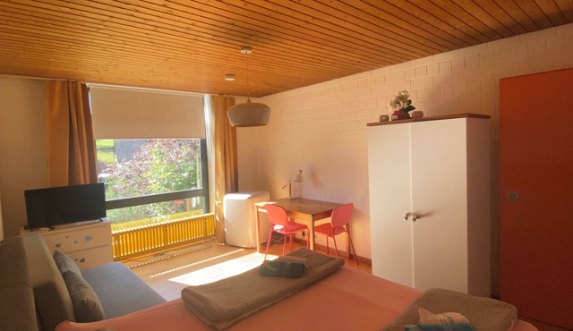 Exklusive Ferienwohnung Miro 25 m² in Ruhiger Lage