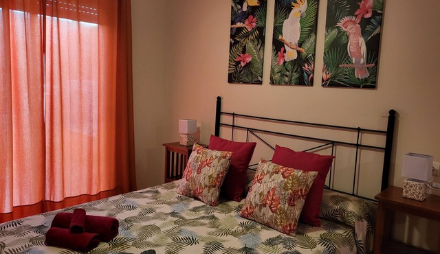 Exotic apartment in the first line of Vera-Playa