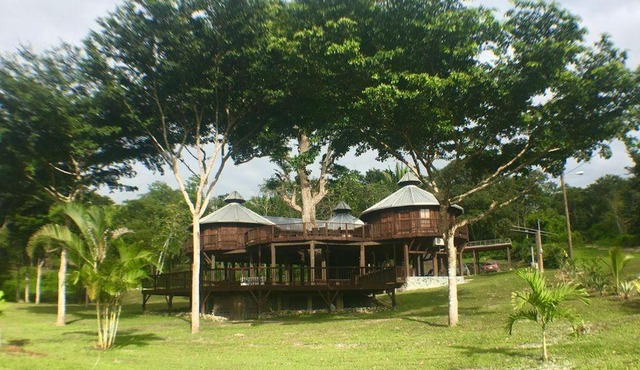 Exotic High End Unique Off-The-Grid Treehouse, steps away from the Mopan River!