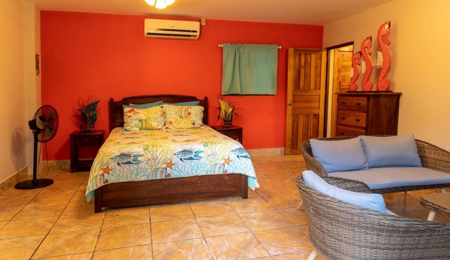 Exotic Iguana Apartmentos 1