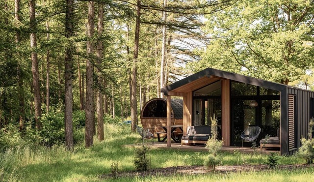 Experience a panoramic wellness adventure in the middle of nature