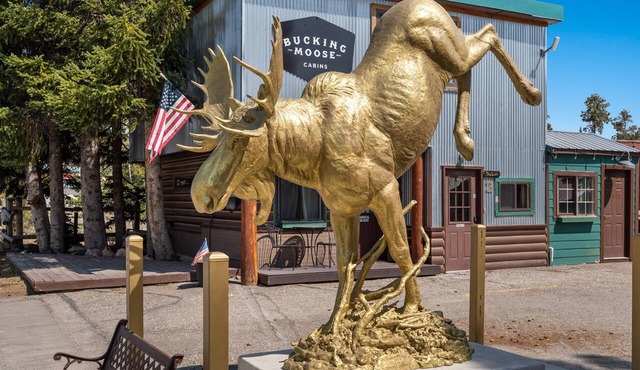 Experience comfort at The Bucking Moose (#02) The Loft, just 1 minute from Yellowstone!