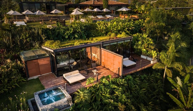 Experience Forest Bliss at Stylish Suite w/Outdoor Terrace | Onsite Pool