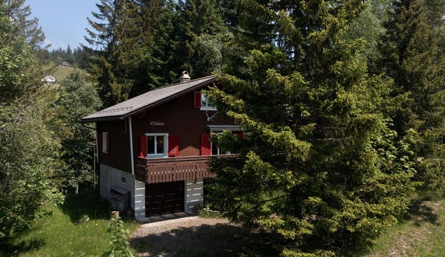 "Experience Idyll and Adventure at Chalet Sönderli in the Swiss Alps!"