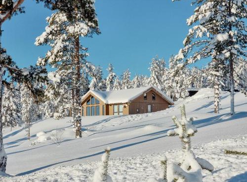 Experience Mountain Magic At Bringsfjellet