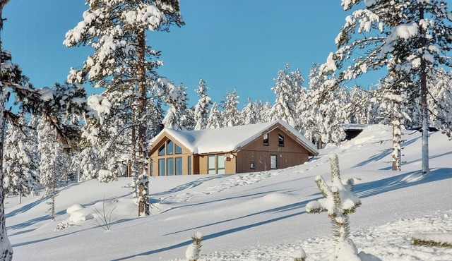 Experience mountain magic at Bringsfjellet