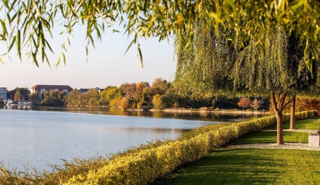 "Experience Serenity at Studio No. 208 by Lebada Lake – Your Perfect Getaway!"
