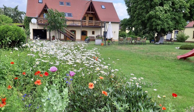 Experience silence, in the National Park 'Lower Oder Valley'