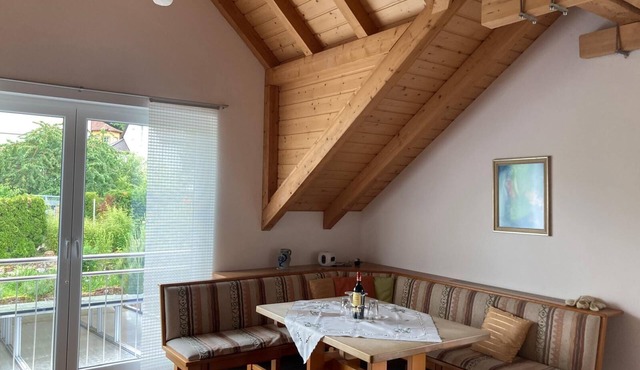 Experience the Palatinate, enjoy vineyards with your pet