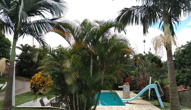 Experience tranquillity at Chácara Bicho Preguiça: your perfect natural refuge!