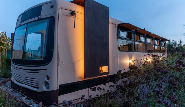 Experience Unique Bus Homes at Bondilodge - Your Perfect Getaway!