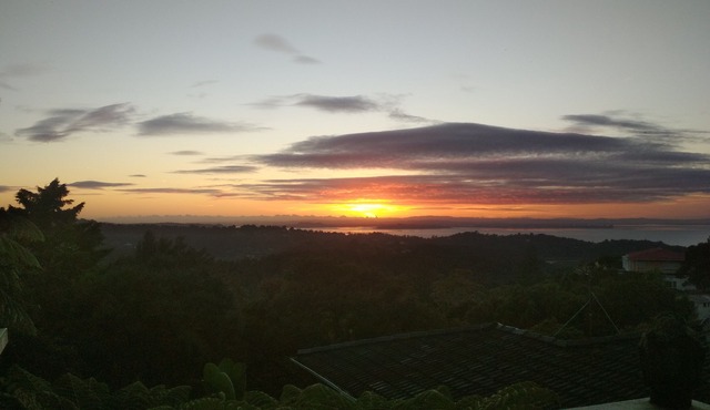 Explore bush and beach in Titirangi