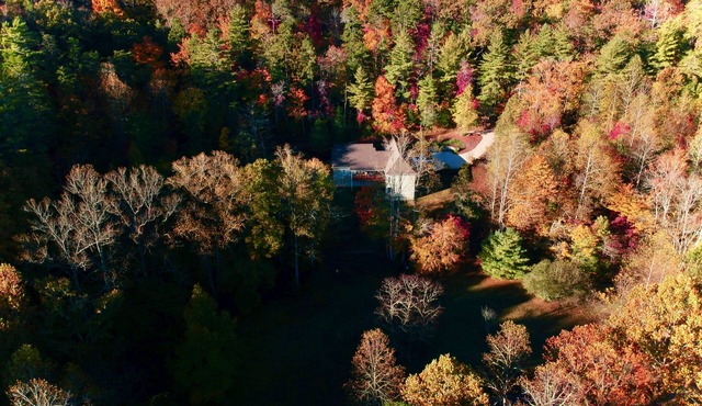 Explore, Relax: Mountain House, Yahoola Creek, Cherokee Forest