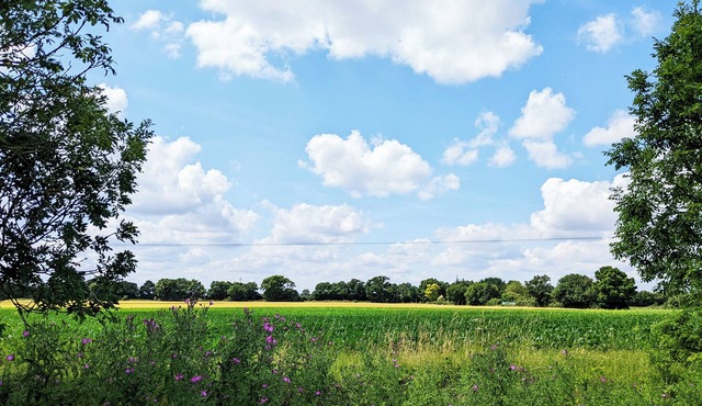 Explore Suffolk & Norfolk from this 2 bedroom, pet friendly, detatched property