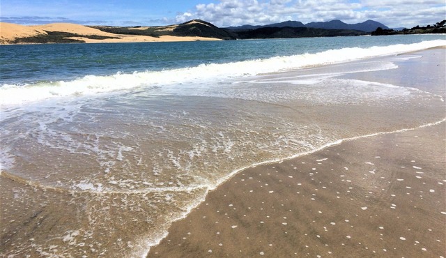 Explore the beautiful Hokianga area from this comfortable self contained flat.