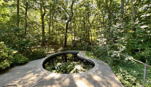 Exquisite Contemporary Home Overlooking Woods