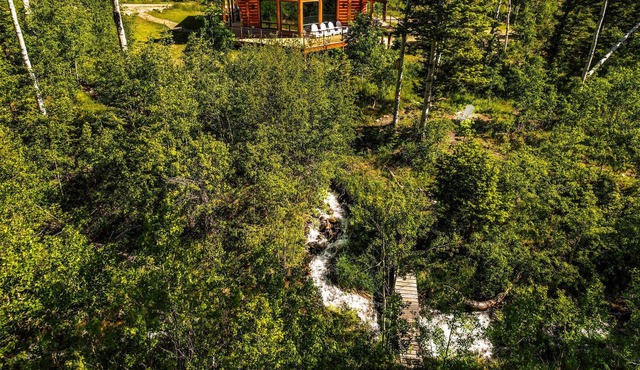 Exquisite Log Cabin. 35 Wooded Acres Laced w/ Creeks & Trails