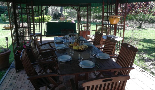 Extra privacy, Dog friend, Special Children, Unspoiled nature, Sea