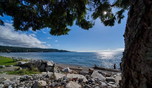 Extraordinary Downtown Sechelt Waterfront Esplanade Home