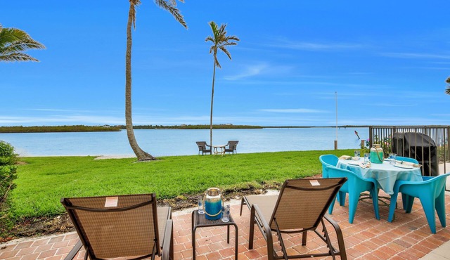 Extraordinary view, unlike any other on Marco Island! Direct access & unique wildlife