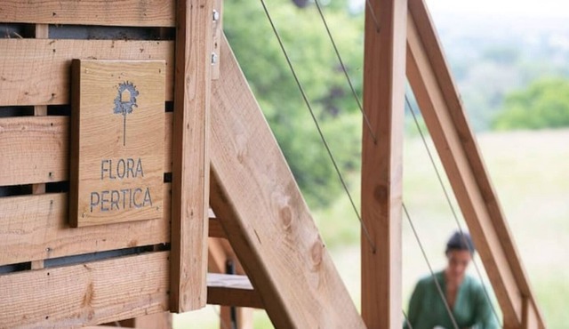 F Nuits Perchées, Cabane et spa au Coeur du Perche
