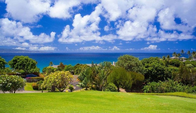 Fabulous ocean view villa offering guests premier accommodations at an unbeatable value!