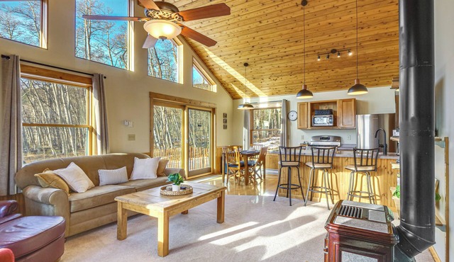 Fairplay Cabin Basecamp: Wildlife & Pond Views!