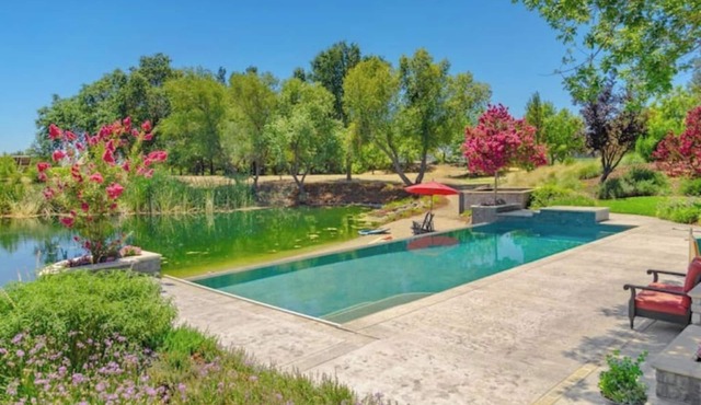 Fairytale retreat at UC Davis, ultimate privacy and comfort