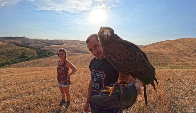 Falconry experience in Tuscany