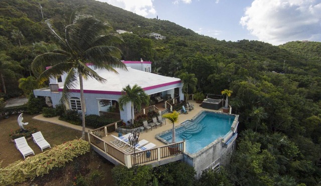Fall in Love at Villa Amour , Caribbean Dream, Art Lovers Paradise. , Private