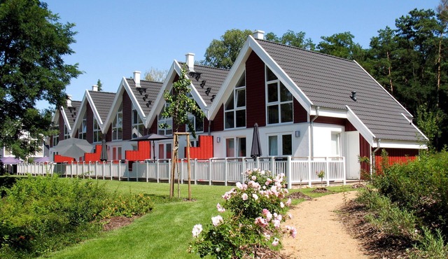 Falster by Interhome