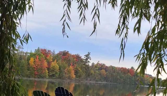 Family Cottage on Quiet Lake with Shallow Entry