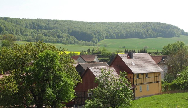 Family-friendly spacious and luxurious detached vacation home for 8 to 9 people
