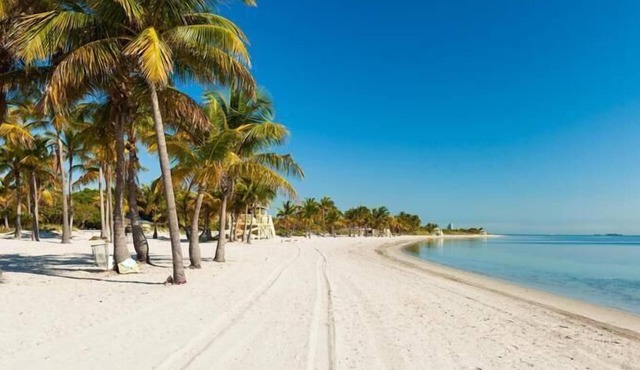 Fantastic Adventure In Key Biscayne! Outdoor Swimming Pool, Steps To The Beach
