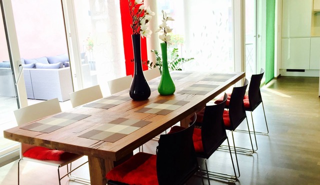 Fantastic apartment overlooking the Rhine 163m², 5 BR., Large terrace