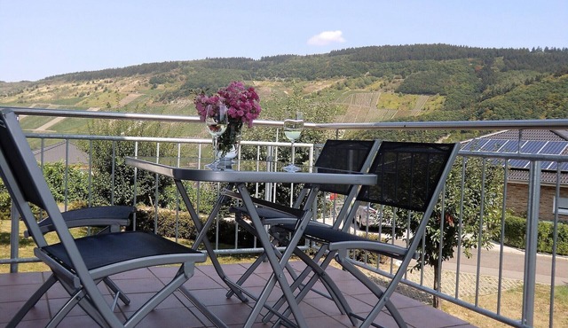 Fantastic apartment with Moselle view
