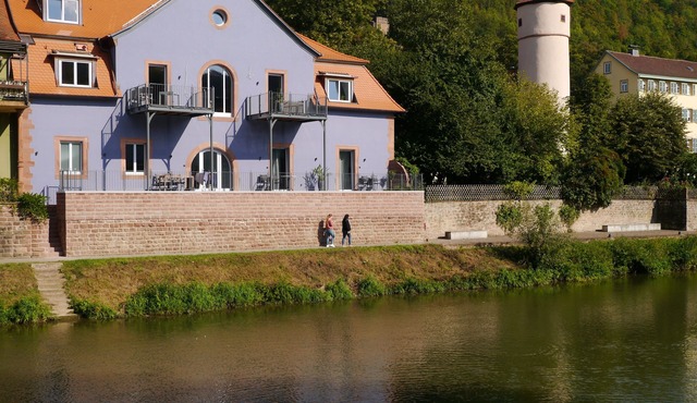 Fantastic apartments with a sun terrace directly on the shores Tauber