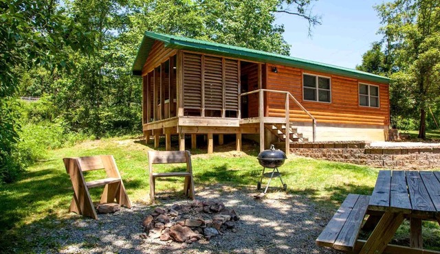 Fantastic Cabin with Fireplace and Hot-tub in Herod, Illinois